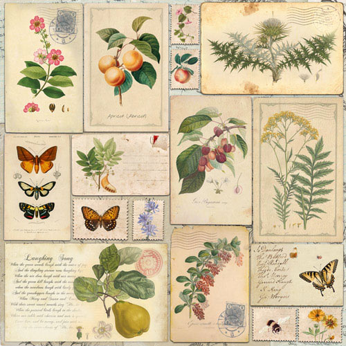 Коллекция бумаги для скрапбукинга Summer botanical diary, 30,5 x 30,5 см, 10 листов - Фото 9