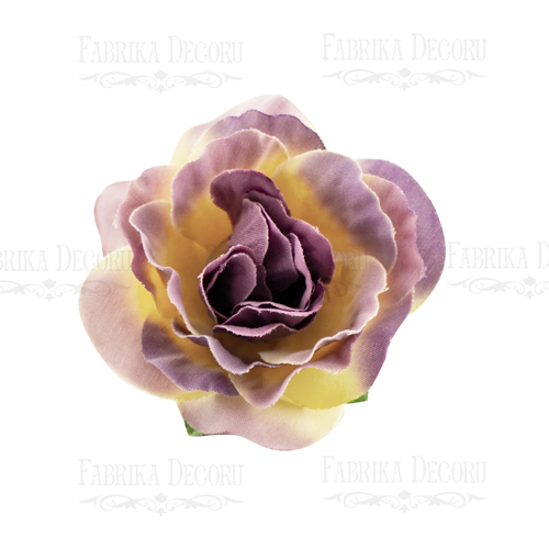 Kwiaty róży, kolor fioletowy z żółtym, 1 szt. - foto 0  - Fabrika Decoru