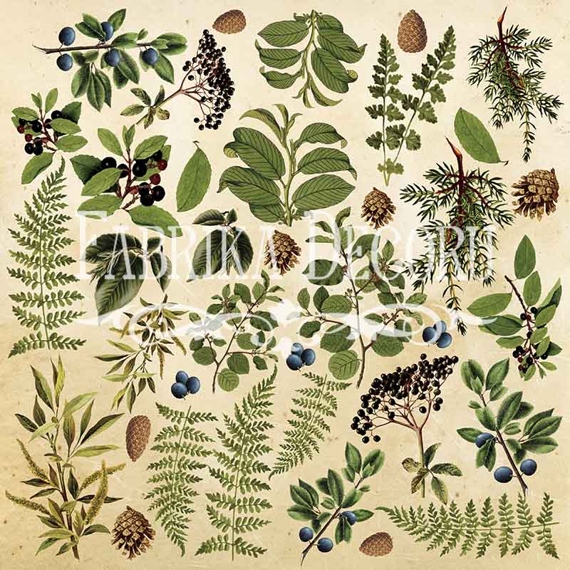 Arkusz z obrazkami do dekorowania "Botany summer" №2 - Fabrika Decoru