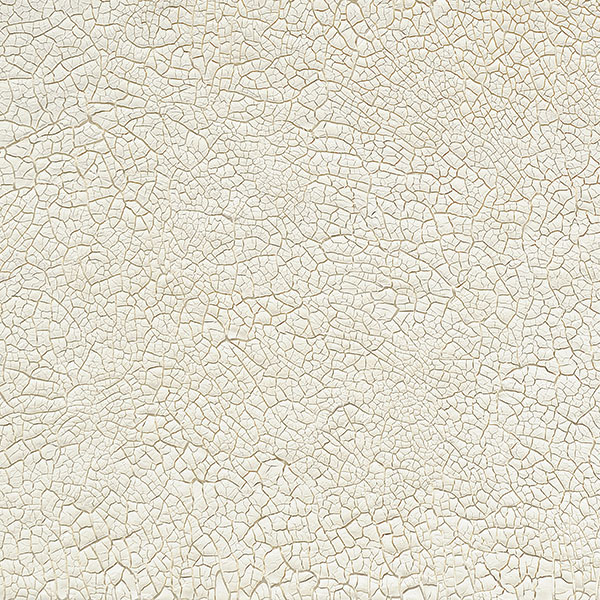 Коллекция бумаги для скрапбукинга Shabby texture 30.5 х 30.5 см 12 листов - Фото 9