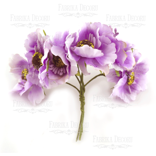 Set of poppies lilac, 6 pcs