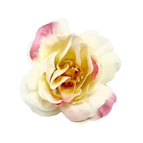 Цветы розы Бежевые с розовым, 1шт - Фото 0