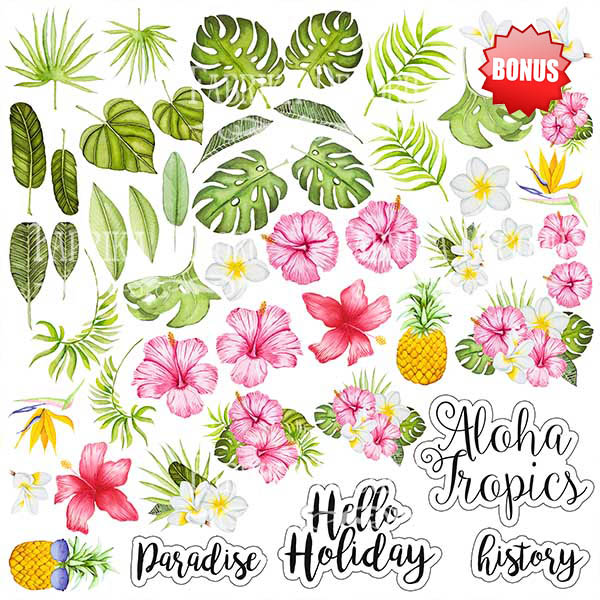 Double-sided scrapbooking paper set  Tropical paradise 8”x8”, 10 sheets - foto 2