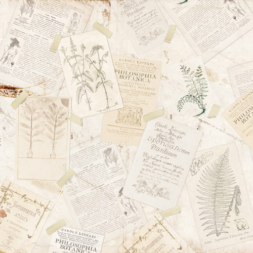 Коллекция бумаги для скрапбукинга Botany autumn redesign, 30,5 x 30,5 см, 10 листов - Фото 8