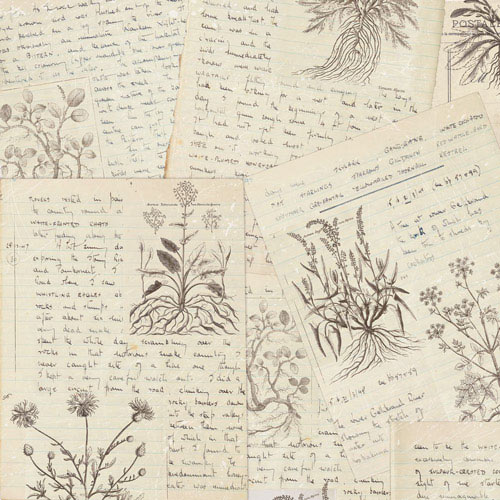 Коллекция бумаги для скрапбукинга Summer botanical diary, 30,5 x 30,5 см, 10 листов - Фото 6