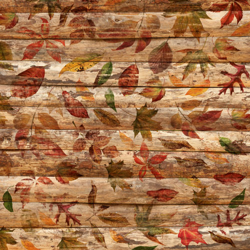 Double-sided scrapbooking paper set Autumn botanical diary 12"x12", 10 sheets - foto 10