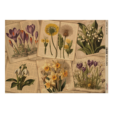 лист крафт бумаги с рисунком "botany spring", #3, 42x29,7 см