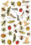 Оверлей Bright summer insects 21х29,7 см
