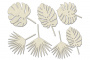 набор чипбордов тропические листья 10х15 см #554 