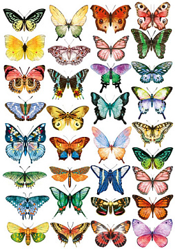 Overlay z nadrukiem do scrapbookingu, „Kolorowe motyle”