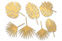набор чипбордов тропические листья 10х15 см #554 
