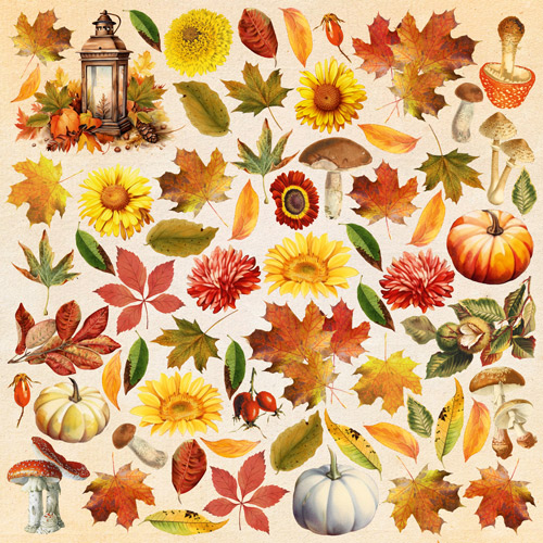 Колекція паперу для скрапбукінгу Bright Autumn  30.5 х 30.5 см, 10 аркушів - фото 11