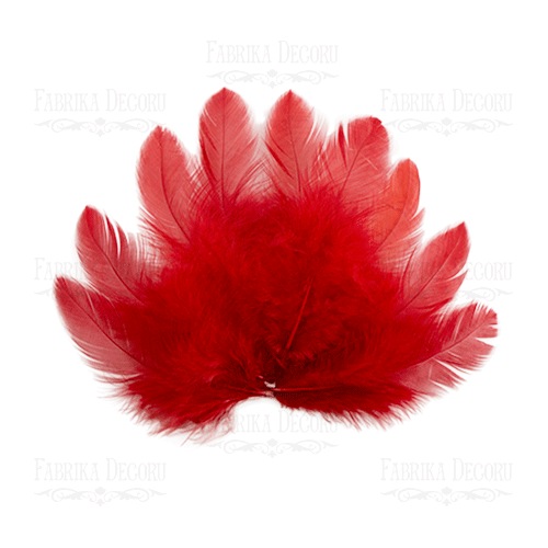 Feathers set mini "Reds"