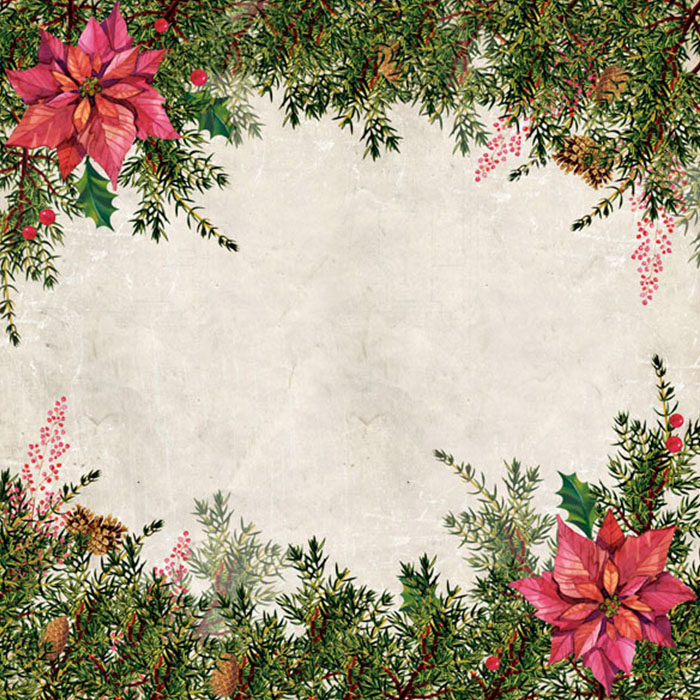 Doppelseitiges Scrapbooking-Papier-Set Botanik Winter, 20 cm x 20 cm, 10 Blätter - foto 3  - Fabrika Decoru