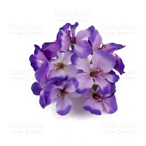 Blumen eines Zweiges violett-lila - Fabrika Decoru