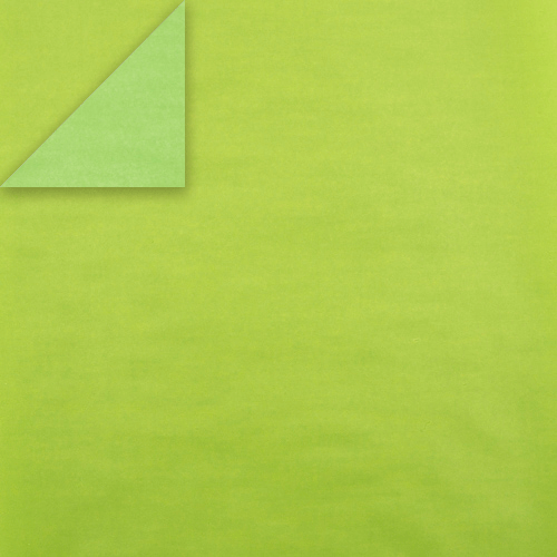 Arkusz kraft papieru z wzorem "Jasnozielony" - Fabrika Decoru