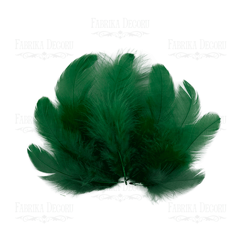 Feathers set mini "Dark green"