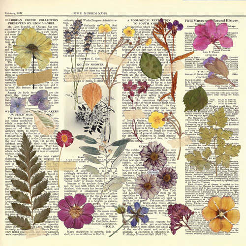 Колекція паперу для скрапбукінгу Summer botanical story  30.5 х 30.5 см, 10 аркушів - фото 6