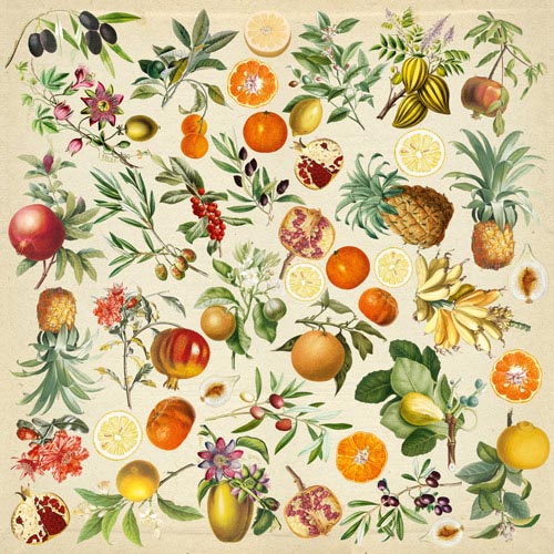 Sheet of images for cutting "Exotic fruits"