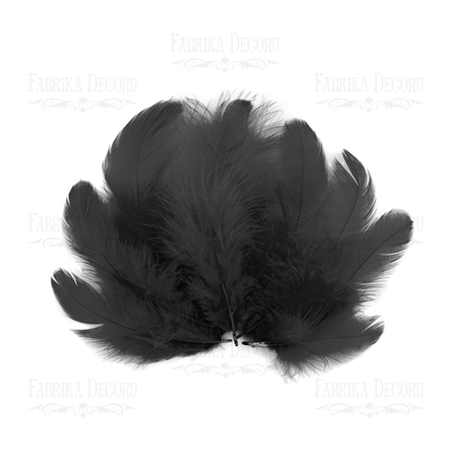 Feathers set mini "Black"