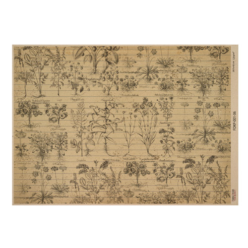 Arkusz kraft papieru z wzorem Botanical backgrounds #06, 42x29,7 cm - Fabrika Decoru