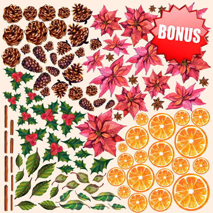 Double-sided scrapbooking paper set Botany winter 8"x8", 10 sheets - foto 13
