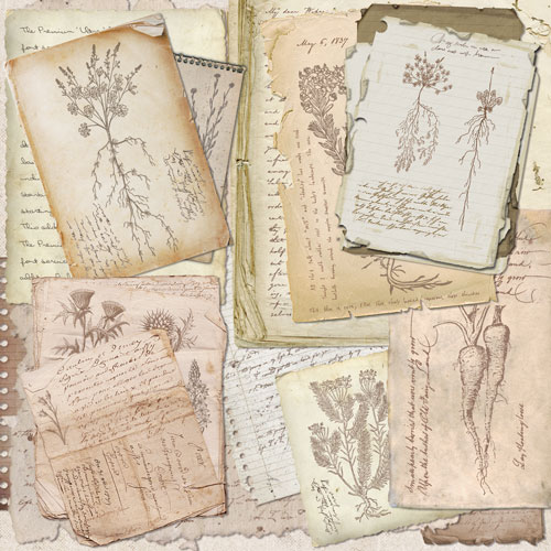 Колекція паперу для скрапбукінгу Summer botanical story  30.5 х 30.5 см, 10 аркушів - фото 4
