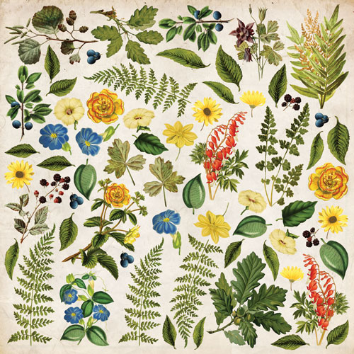 Колекція паперу для скрапбукінгу Summer botanical story  30.5 х 30.5 см, 10 аркушів - фото 11