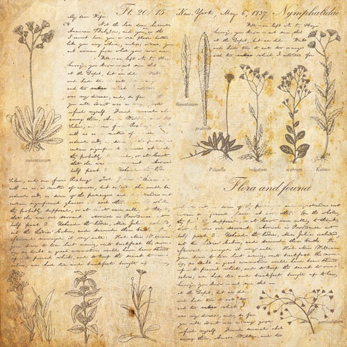 Колекція паперу для скрапбукінгу Summer botanical story  30.5 х 30.5 см, 10 аркушів - фото 7