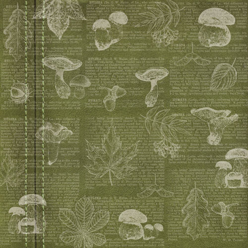 Double-sided scrapbooking paper set Autumn botanical diary 8"x8", 10 sheets - foto 2