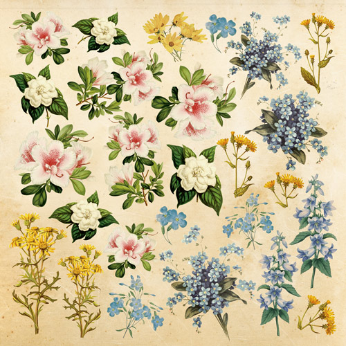 Arkusz z obrazkami do dekorowania "Botany Summer" - Fabrika Decoru