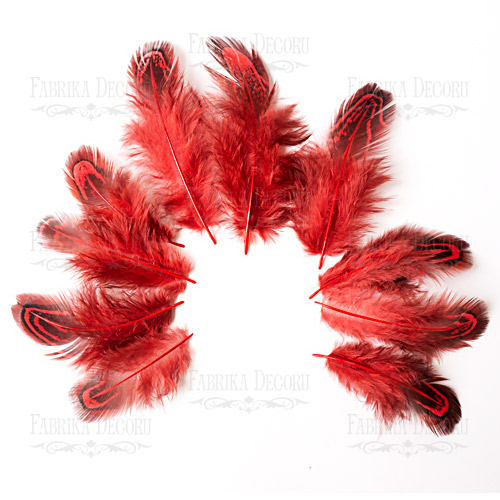 Pheasant feathers set "Red"