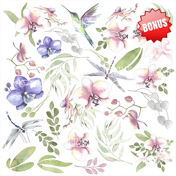 Double-sided scrapbooking paper set  Wild orchid 8"x8" 10 sheets - foto 10