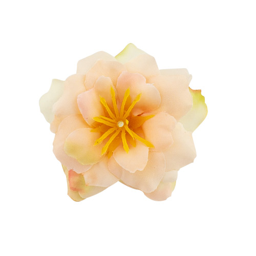 Цветок клематиса персиковый, 1шт - Фото 0