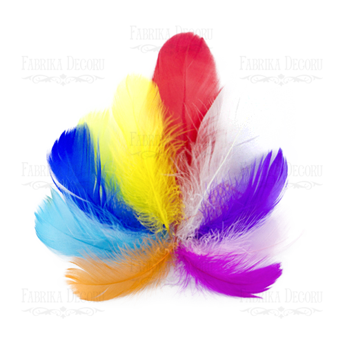 Feathers set mini "Multicolored"