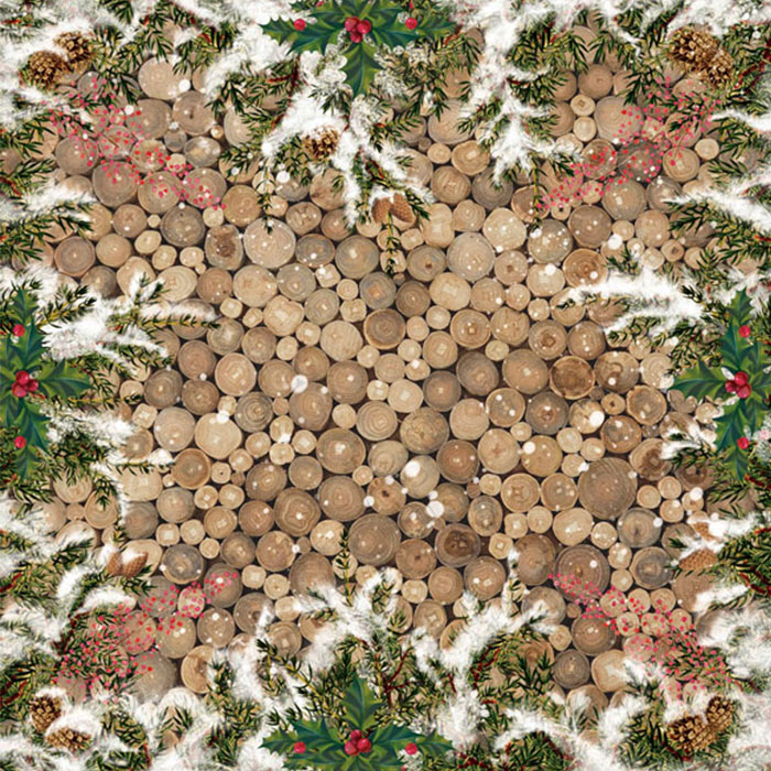 Doppelseitiges Scrapbooking-Papier-Set Botanik Winter, 20 cm x 20 cm, 10 Blätter - foto 9  - Fabrika Decoru