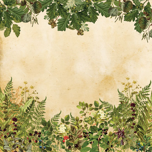 Колекція паперу для скрапбукінгу Summer botanical story  30.5 х 30.5 см, 10 аркушів - фото 3