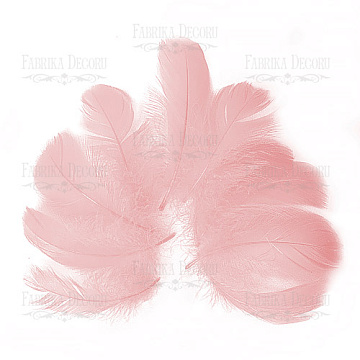 Feather set  "Ash pink"