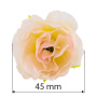 Eustoma flowers, Cream with pink 1pc - 1