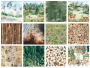 Double-sided scrapbooking paper set Forest life 12"x12", 10 sheets - 0