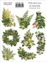 Aufkleberset 8 Stück Summer botanical story #351