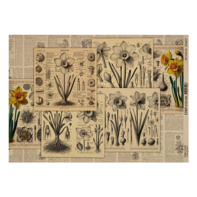 лист крафт бумаги с рисунком "botany spring", #6, 42x29,7 см