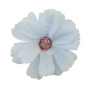 Kwiat rumianku błękitny, 1 szt