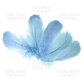 Feather set  "Heavenly"