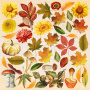 Double-sided scrapbooking paper set Bright Autumn 8"x8" 10 sheets - 11