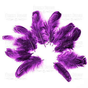 Pheasant feathers set "Purple"