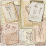 Коллекция бумаги для скрапбукинга Summer botanical story 30.5 х 30.5 см, 10 листов