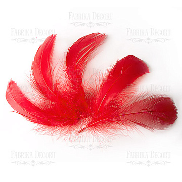 Feathers set "Red"