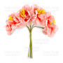 Sakura-Blüten-Set englische Rose, 6-tlg